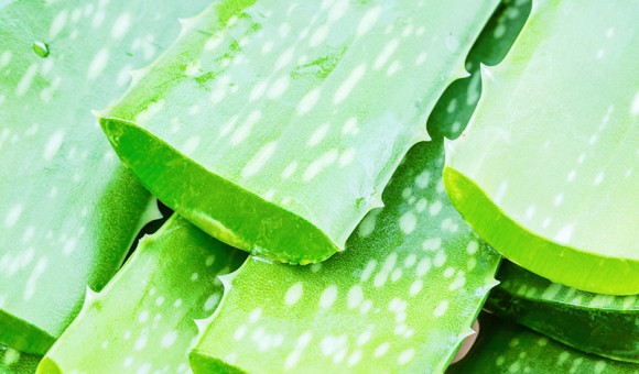 Aloe