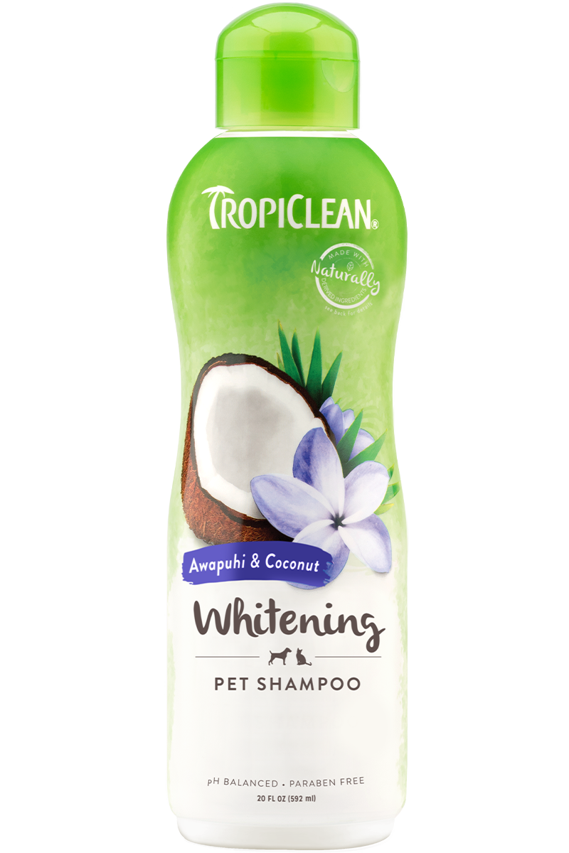 Tropiclean Awapuhi And Coconut Whitening Shampoo For Dogs
