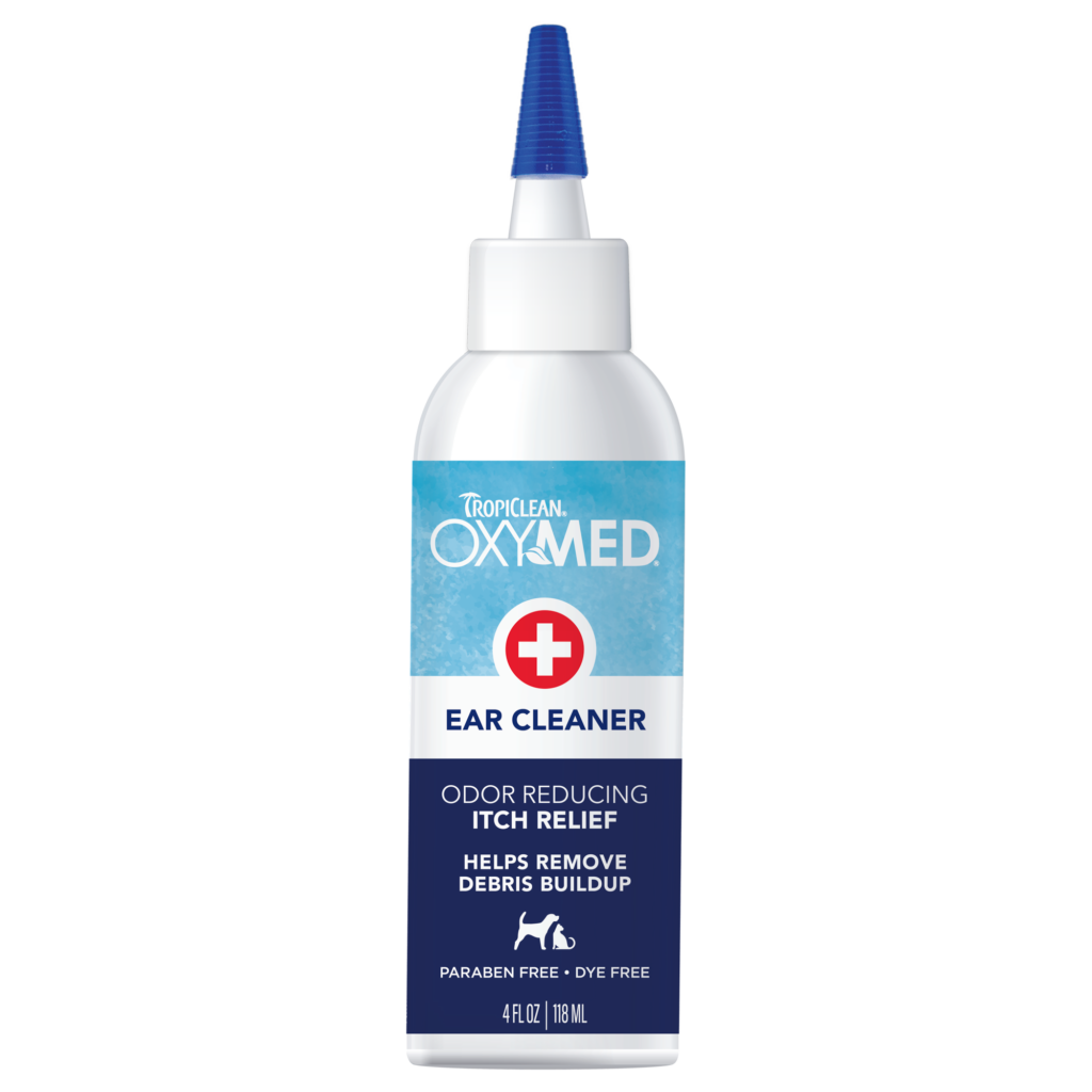 Image showcasing Dog - Wikipedia